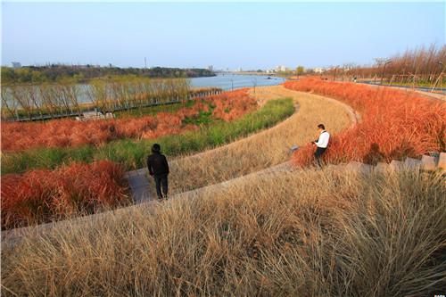 中国“城市海绵”—— 金华燕尾洲获2015世界最佳景观奖