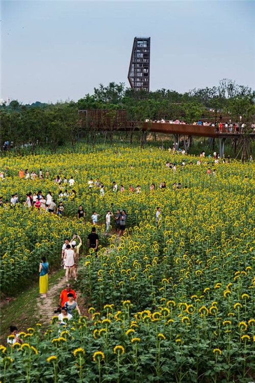 landarchs.com: 2015全球十大景观项目