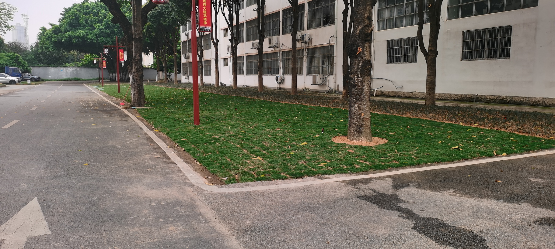 南宁机务段职教办公楼旁绿化