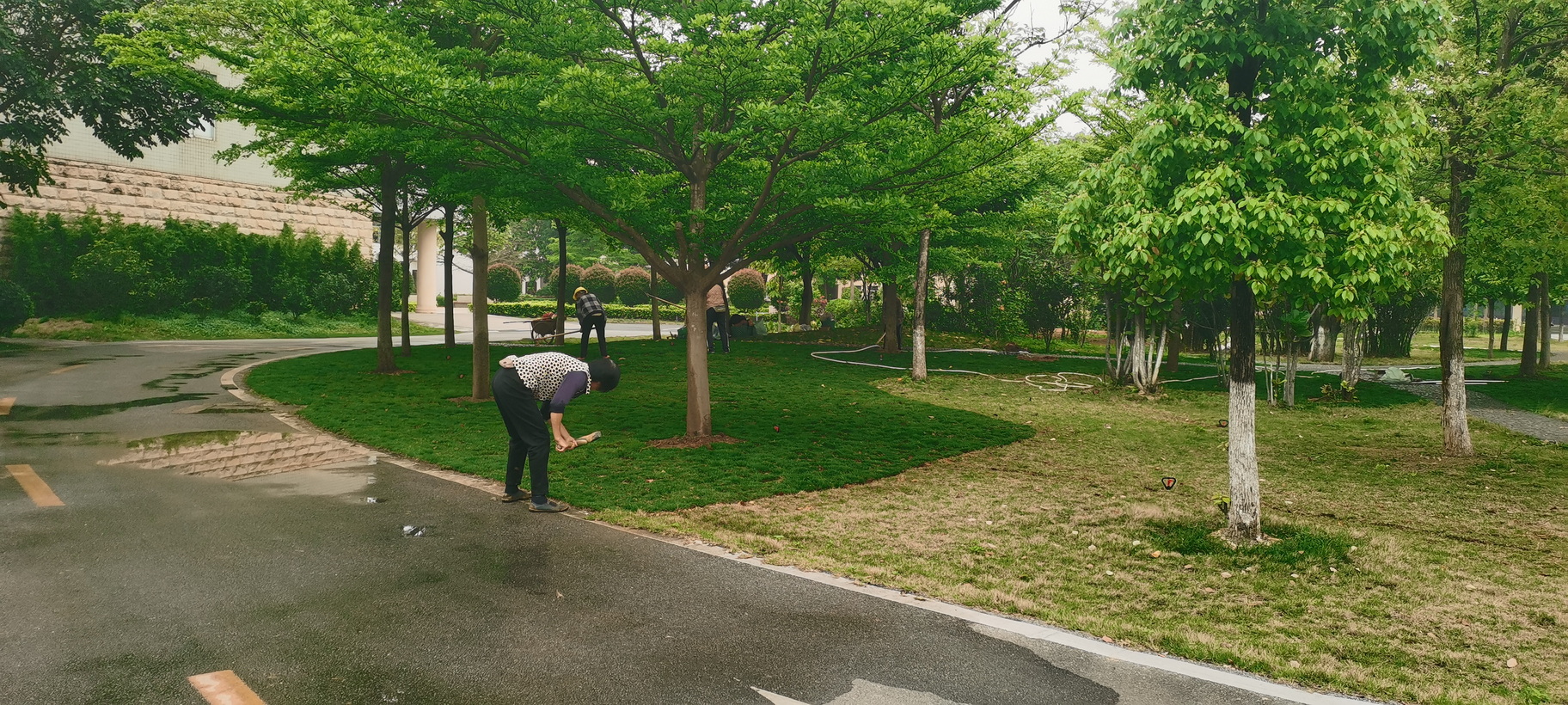 南宁机务段职教办公楼旁绿化