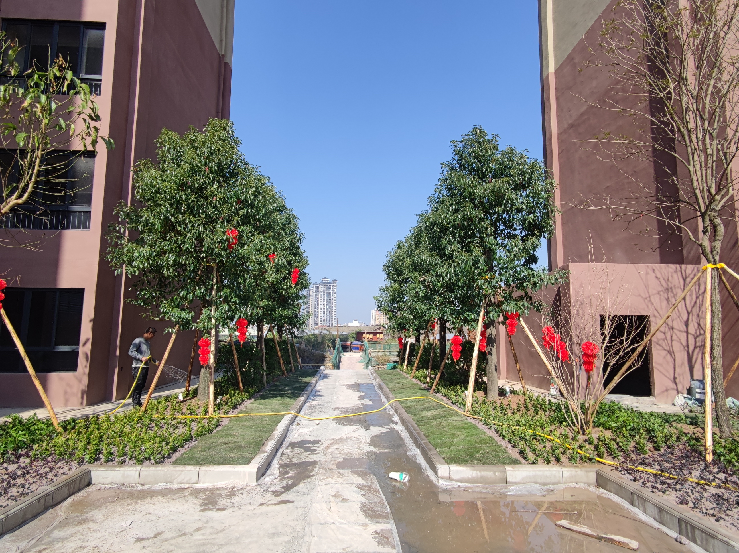 住宅小区绿化工程